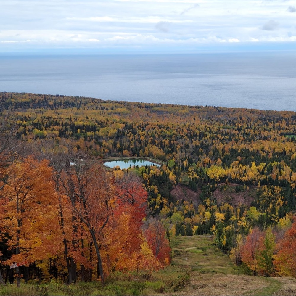 Meet your Posher, TY